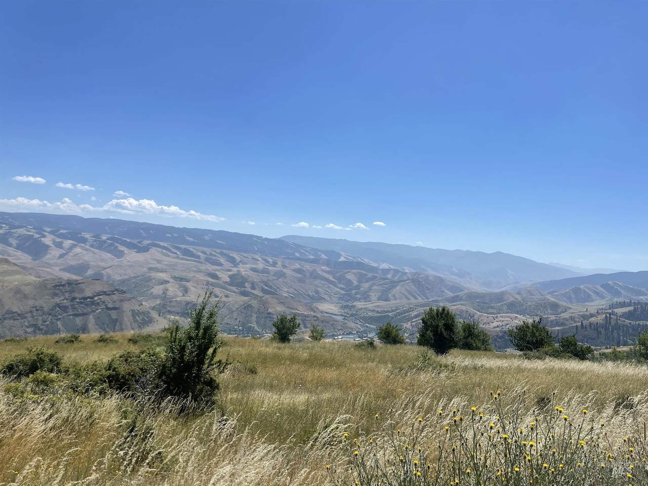 TBD Canyon View Rd - Photo 1