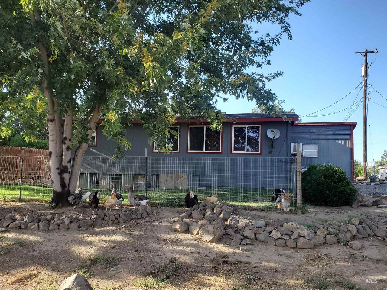 1741 6th Ave - Photo 1
