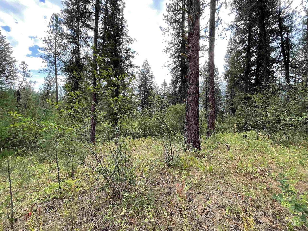 TBD Bare Ground - Photo 1