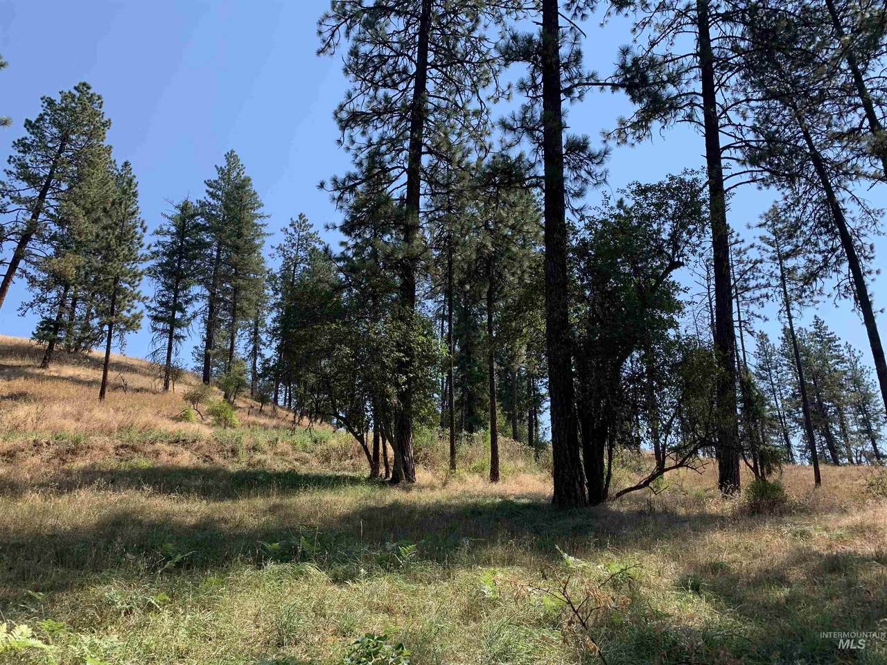 TBD Cedar Creek - Photo 1