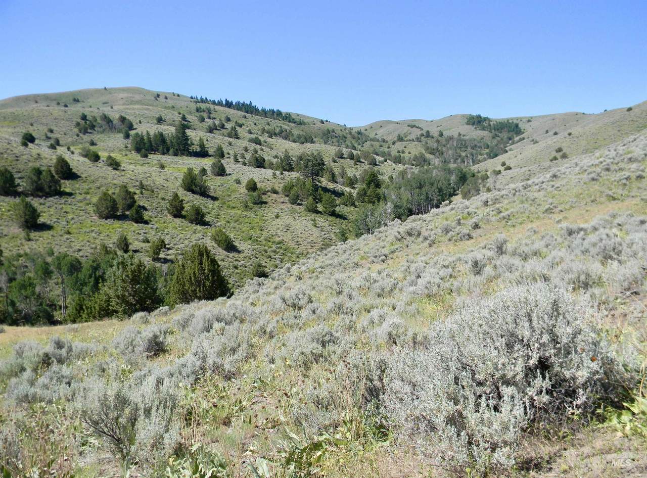 2 Shirttail Creek Rd - Photo 1