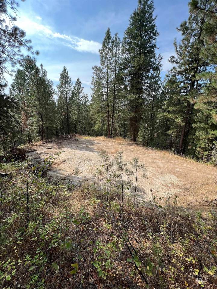 TBD Sunset Trail - Photo 1