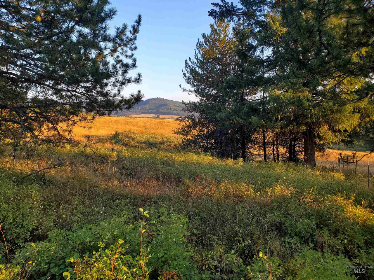 TBD Jerome Creek Road - Photo 1