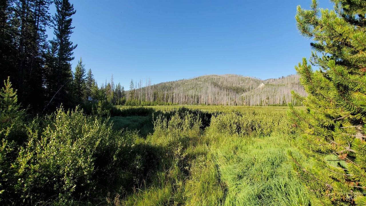 TBD Warren Wagon Rd - Photo 1