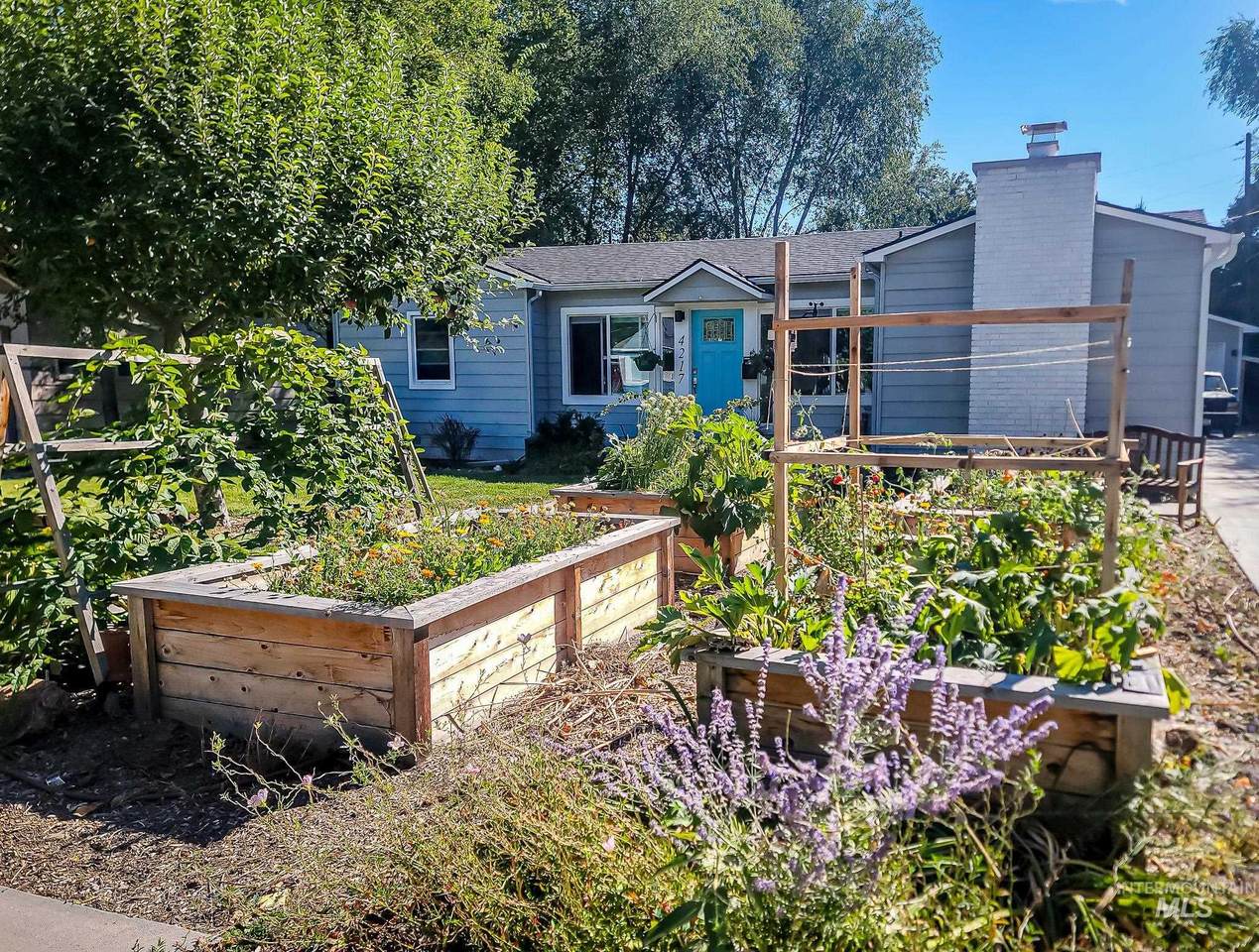 4217 Clinton - Photo 1