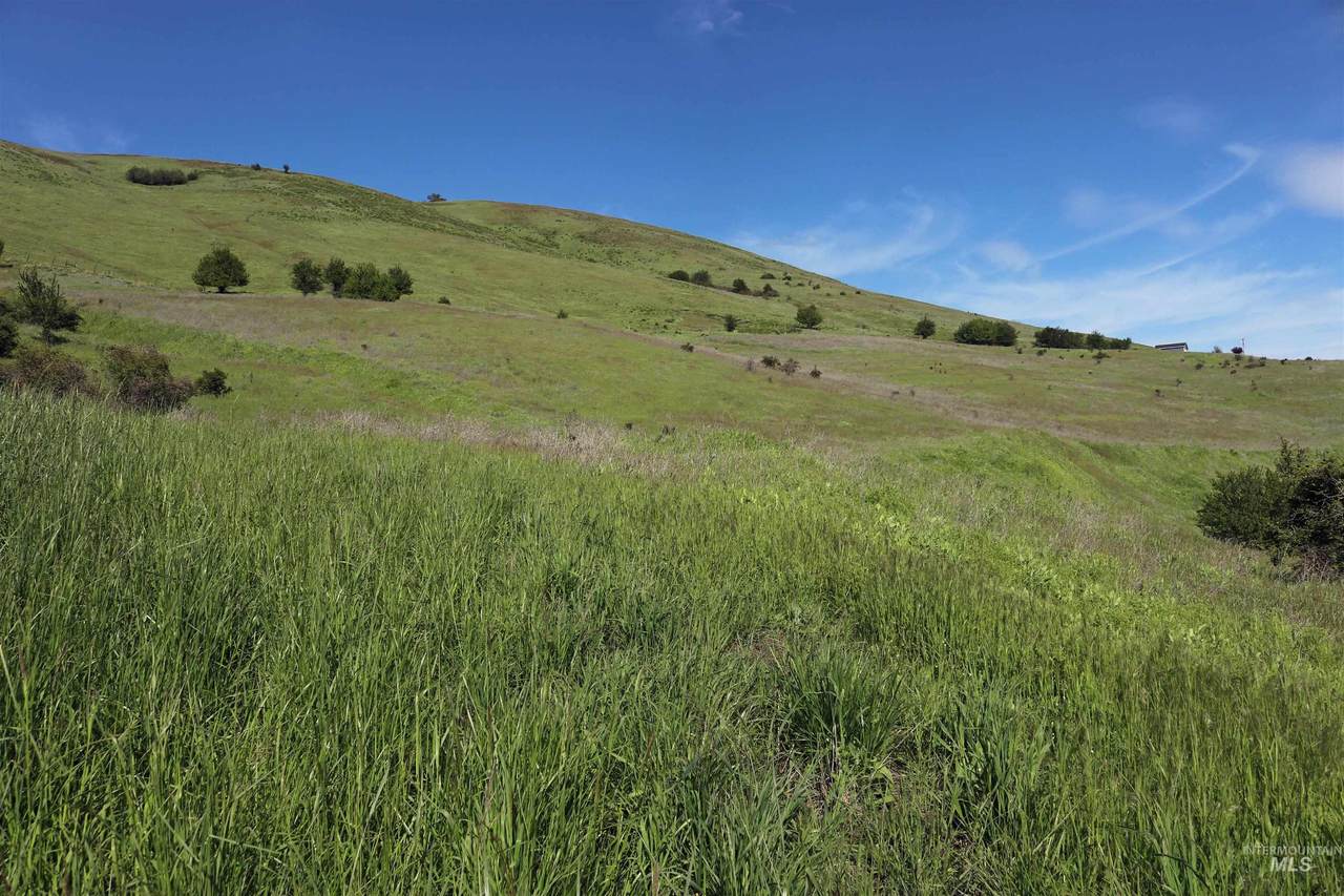TBD Sunnyside Bench Road - Photo 1