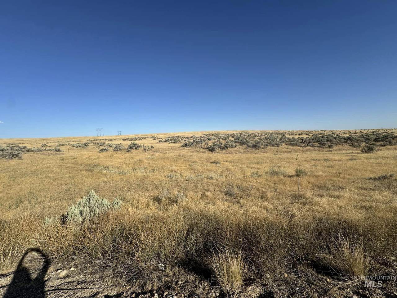 TBD Blacks Creek Rd. - Photo 1
