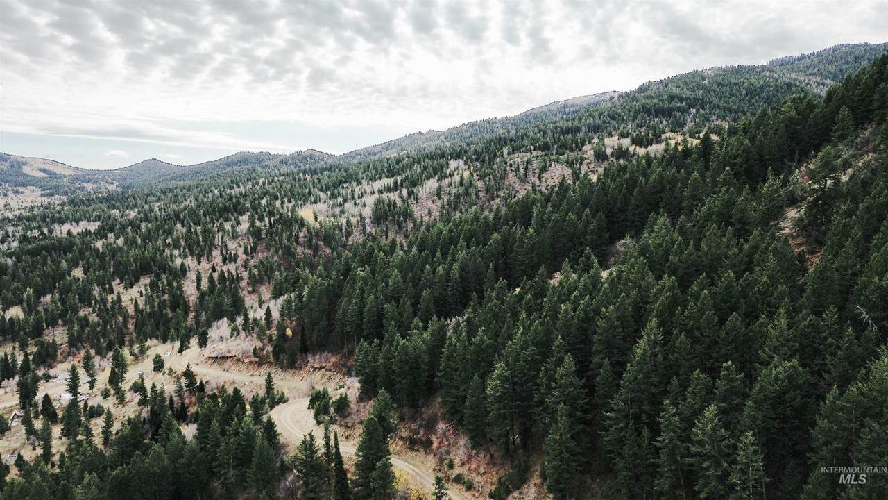 TBD Baldy Mountain Rd - Photo 1