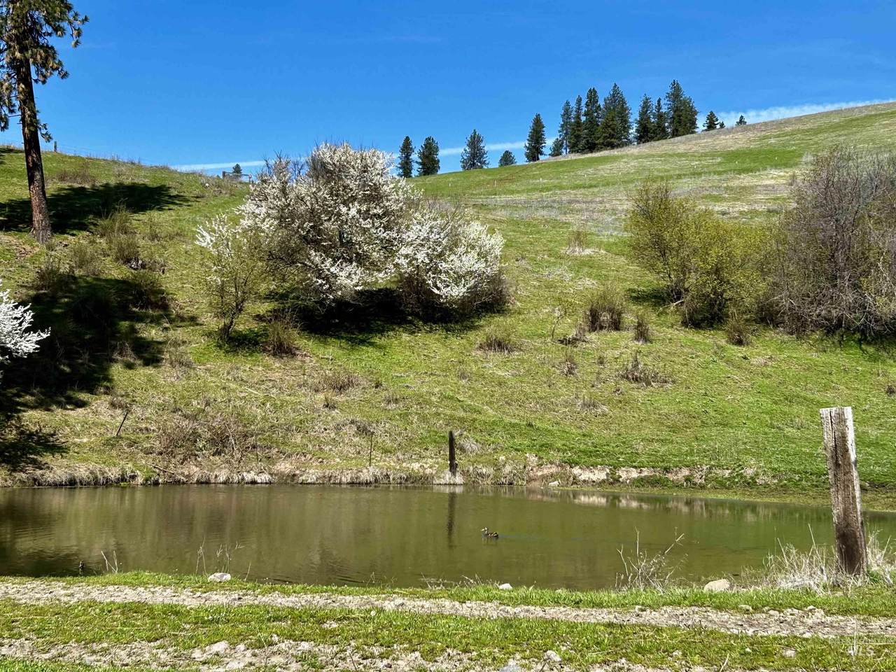 TBD Upper Fords Creek - Photo 1