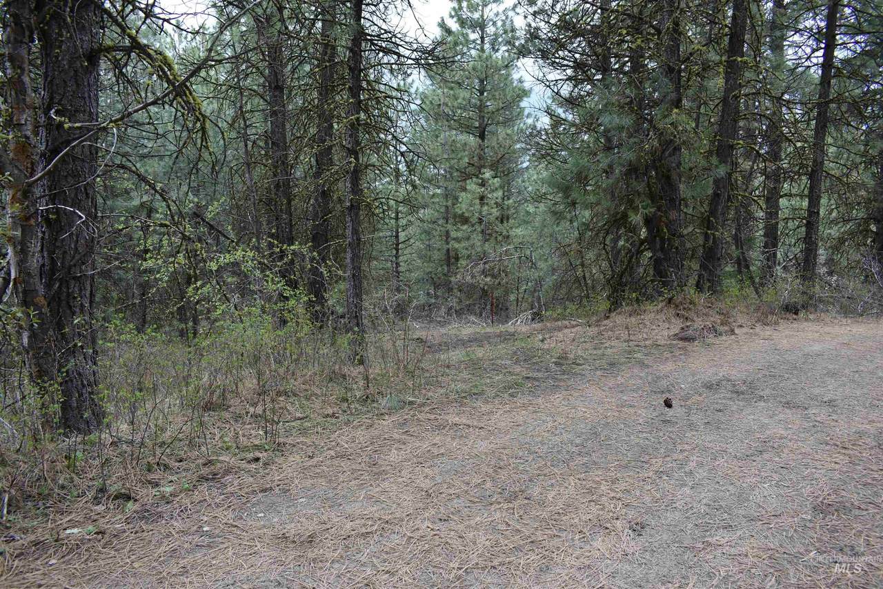 TBD Outlaw Trail - Photo 1