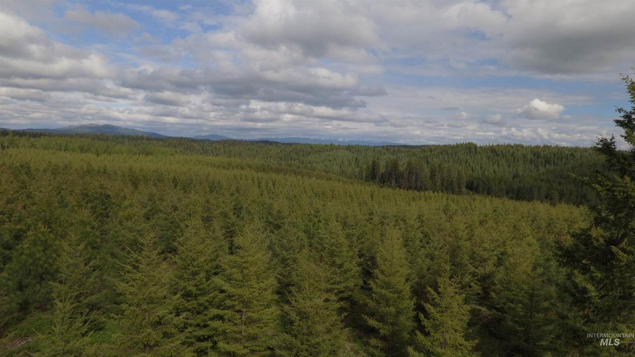 TBD Badger Ridge Dr    Parcel 3 - Photo 1