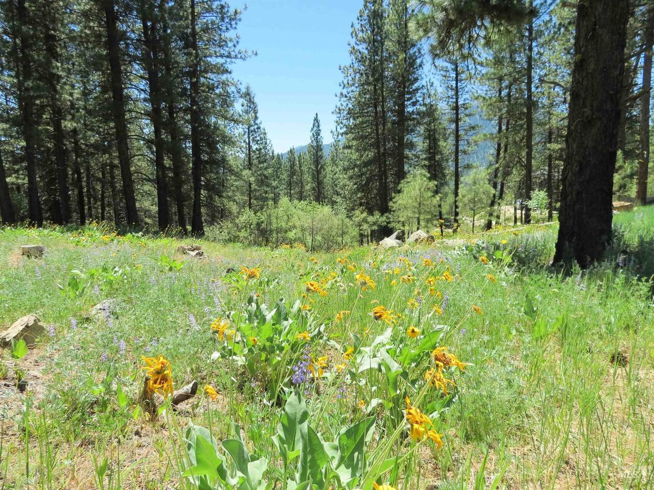 Lot 83 White Pine Dr - Photo 1