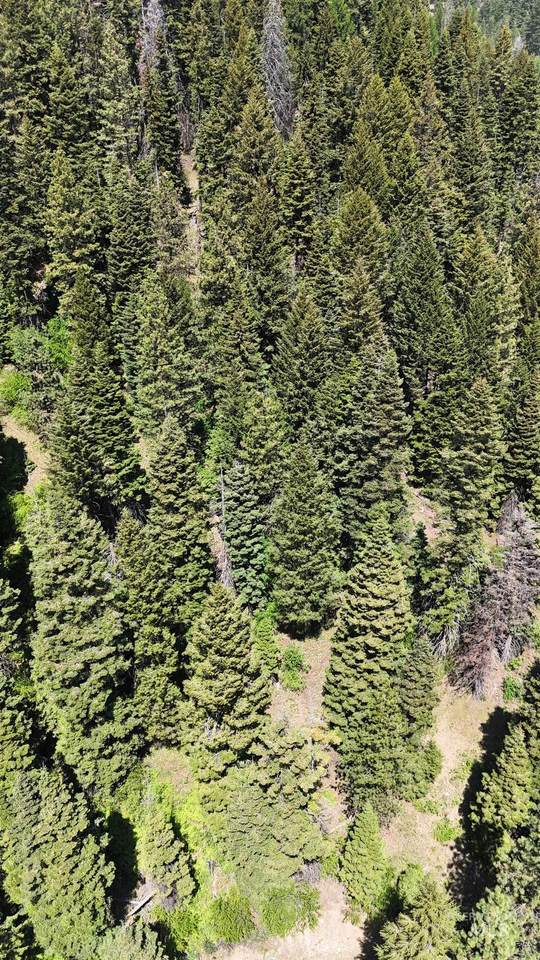 74 Burnt Wagon Trail - Photo 1
