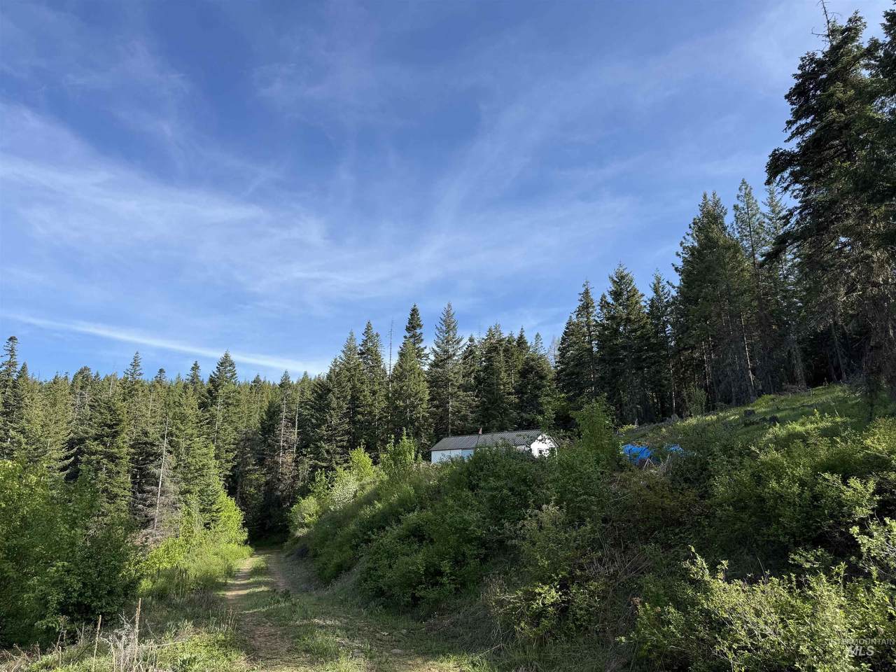 TBD Grangeville Salmon Rd - Photo 1