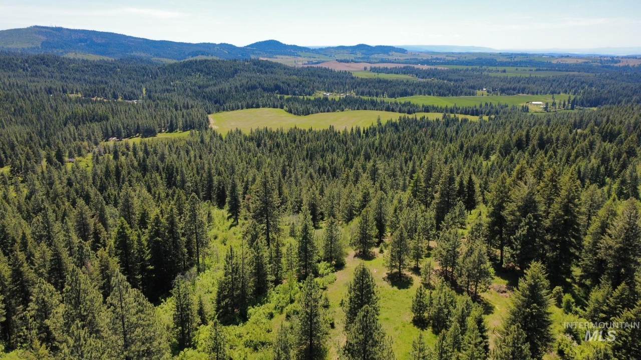 TBD Smokey Bear Ln - Photo 1