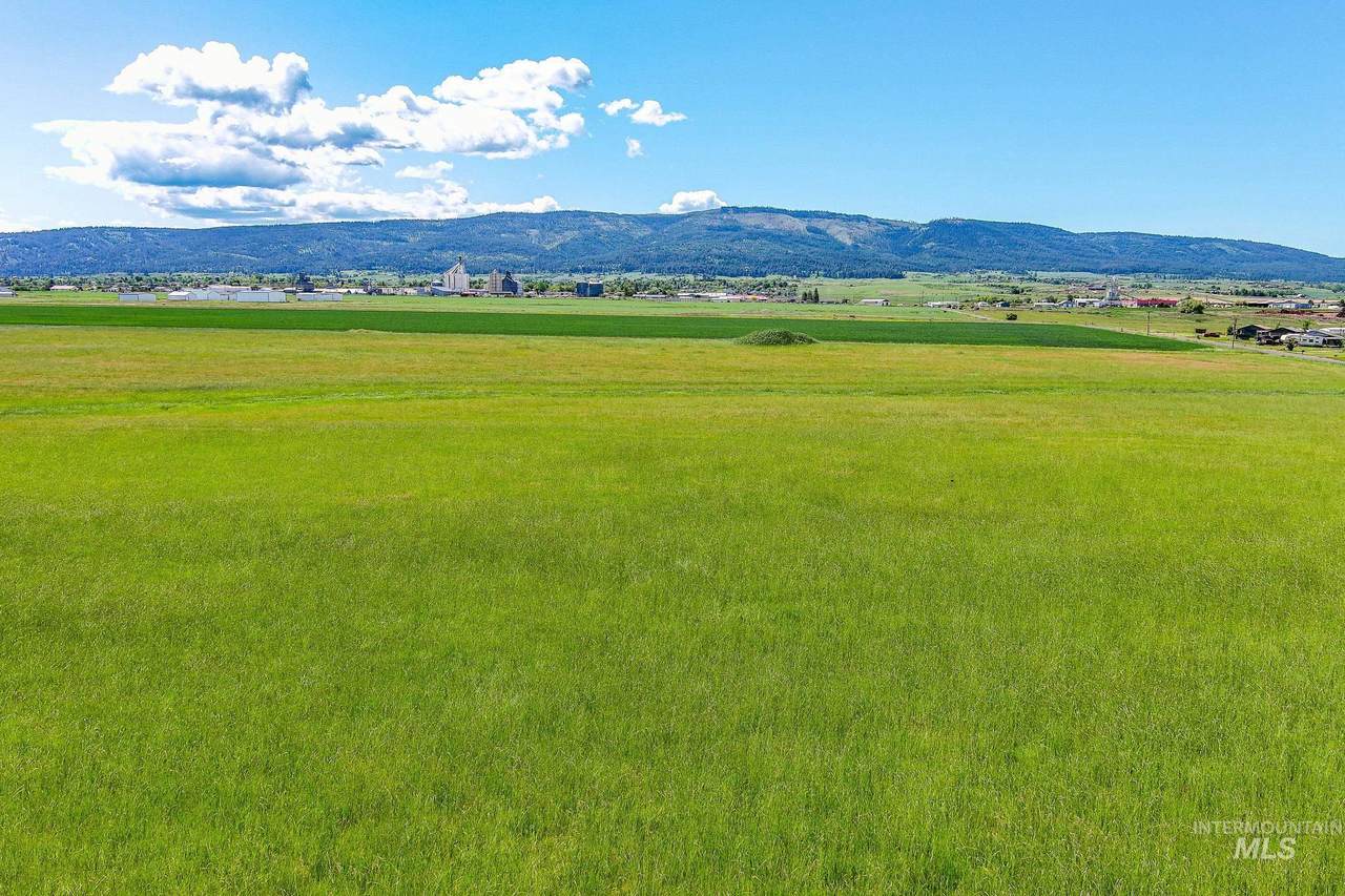 110 Meadow Grass Loop - Photo 1