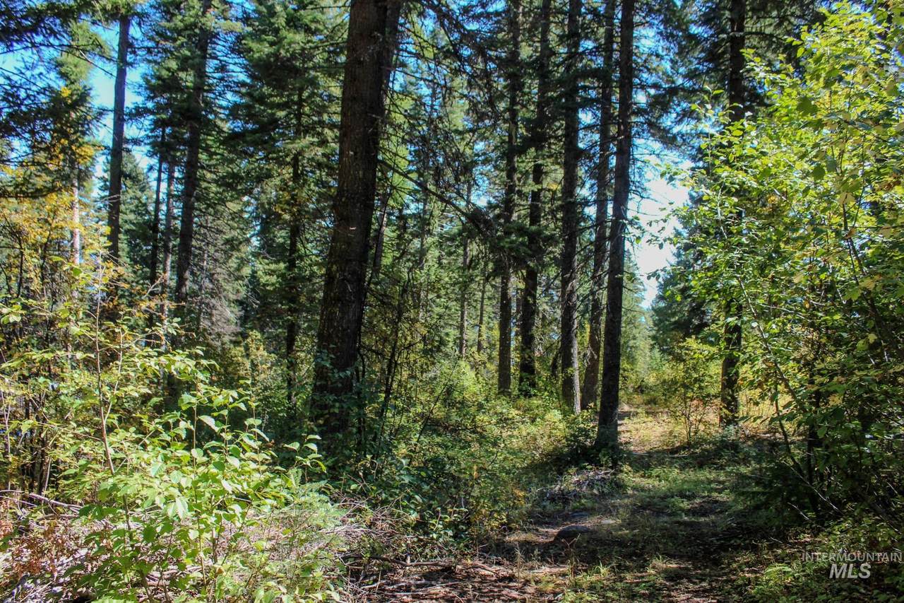 1204 Porcupine Road - Photo 1