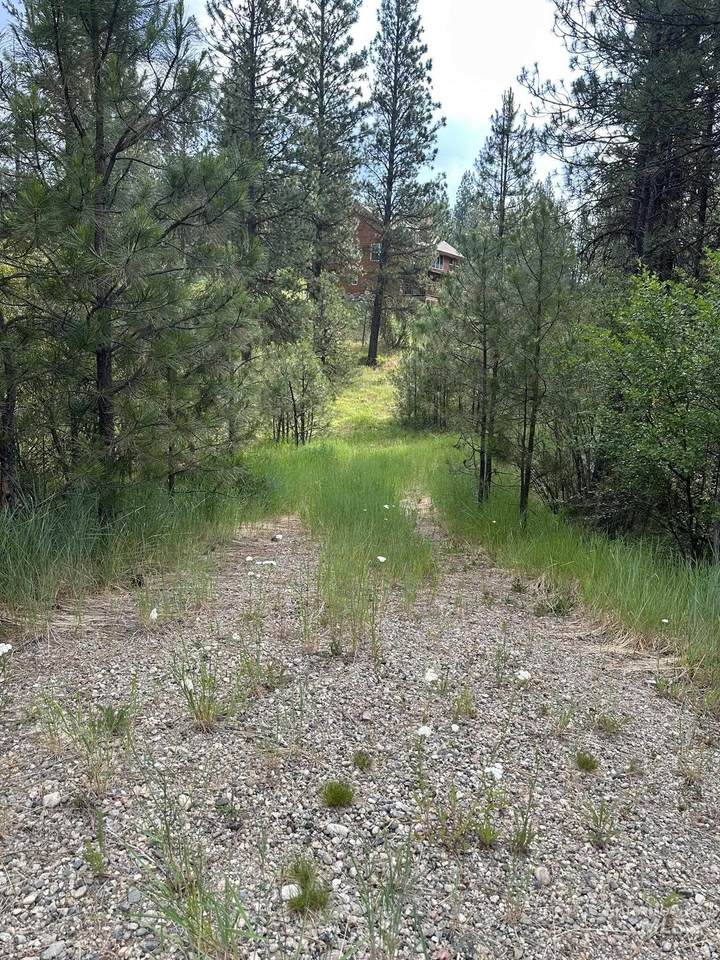 TBD White Pine - Photo 1