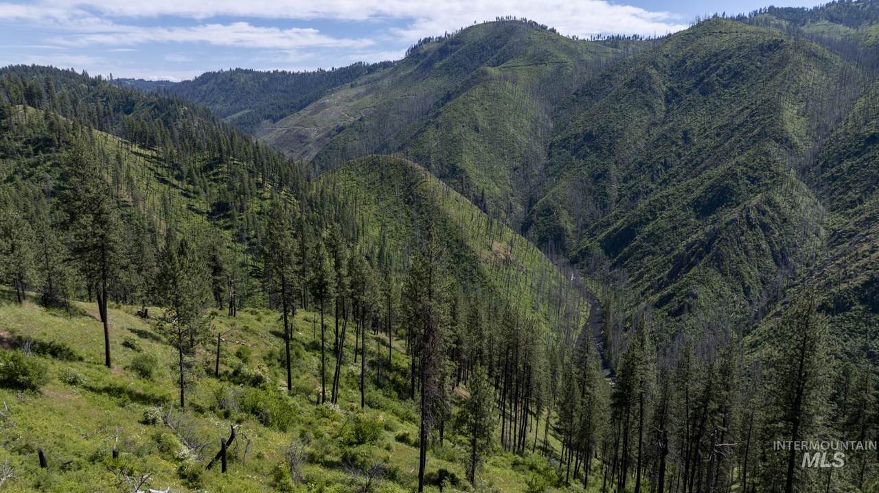 0 Forest Garden Ln, Parcel 7 - Photo 1