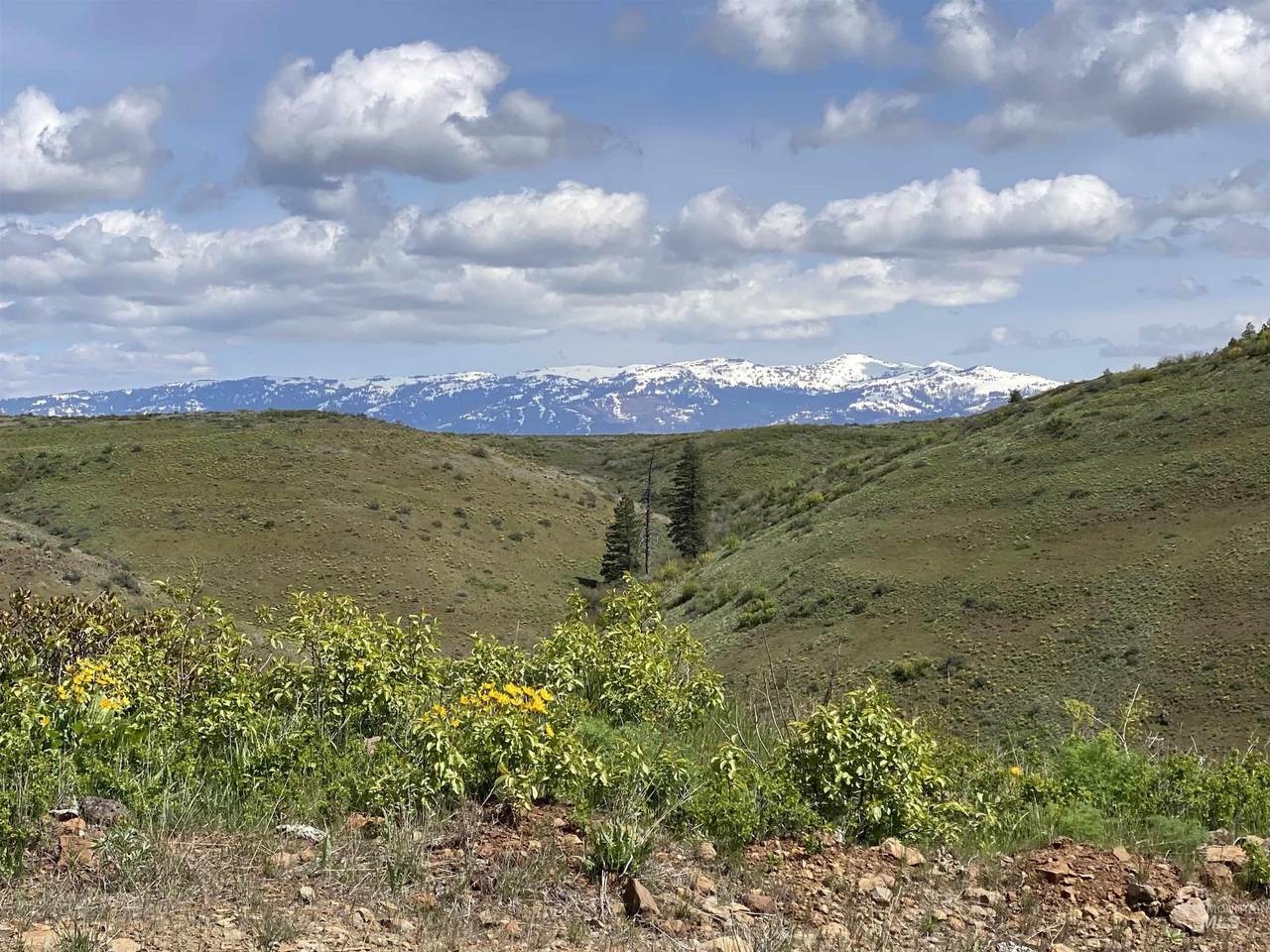 TBD Upper Goodrich Cr - Photo 1