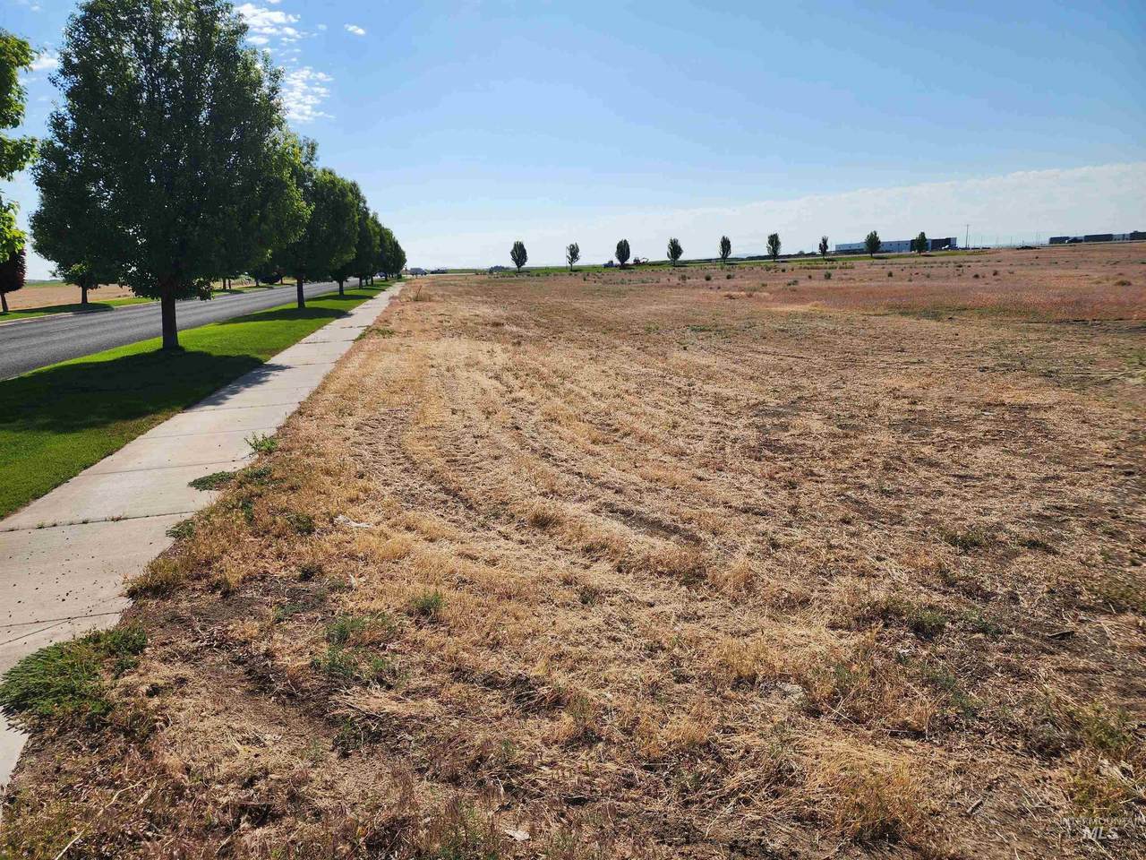 TBD American Ave - Photo 1