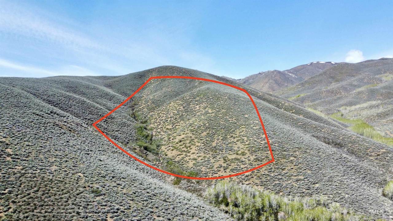 TBD Lees Gulch Rd - Photo 1