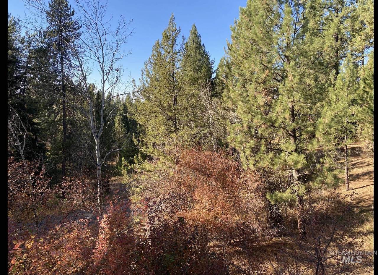 431 Wilhelm Creek Ct. - Photo 1