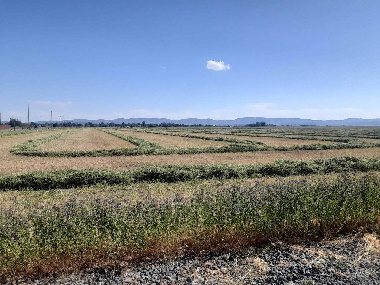 TBD Soldier Rd Ih Lot2 - Photo 1