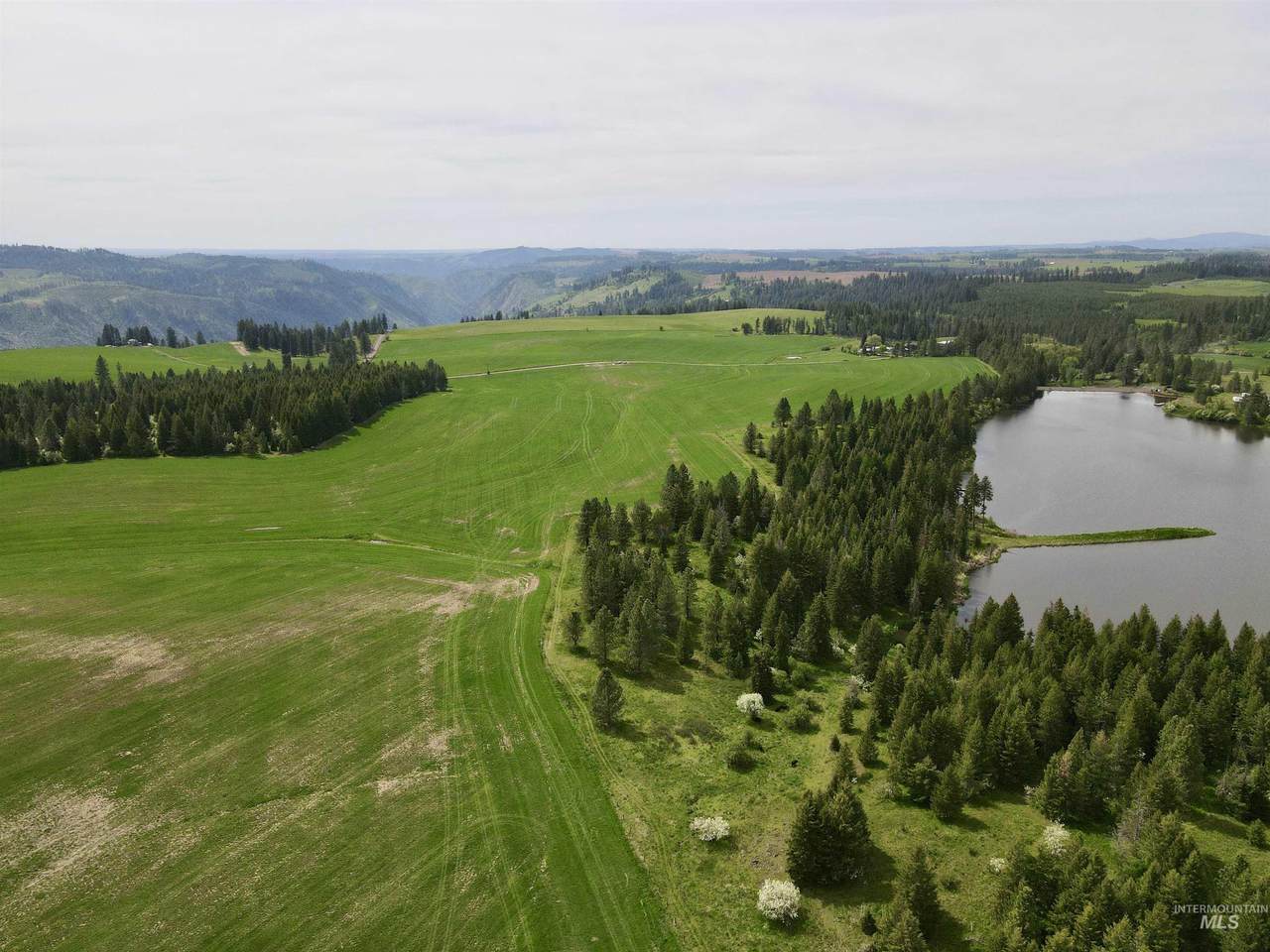TBD 4 Mile Road - Photo 1