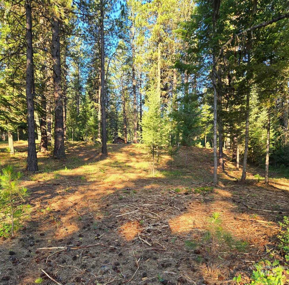 TBD Sorrel - Photo 1