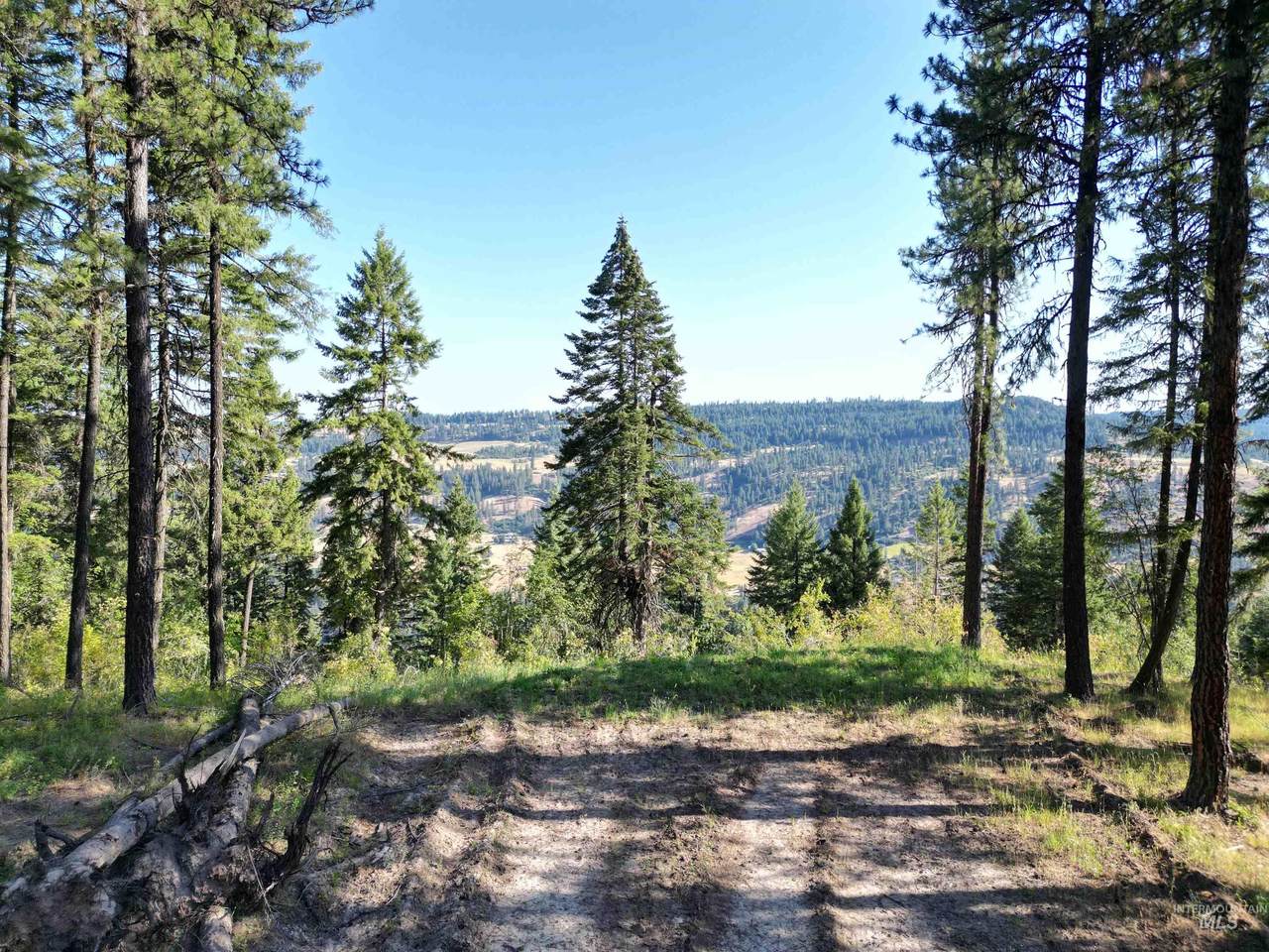 750 Mountain Top Drive - Photo 1