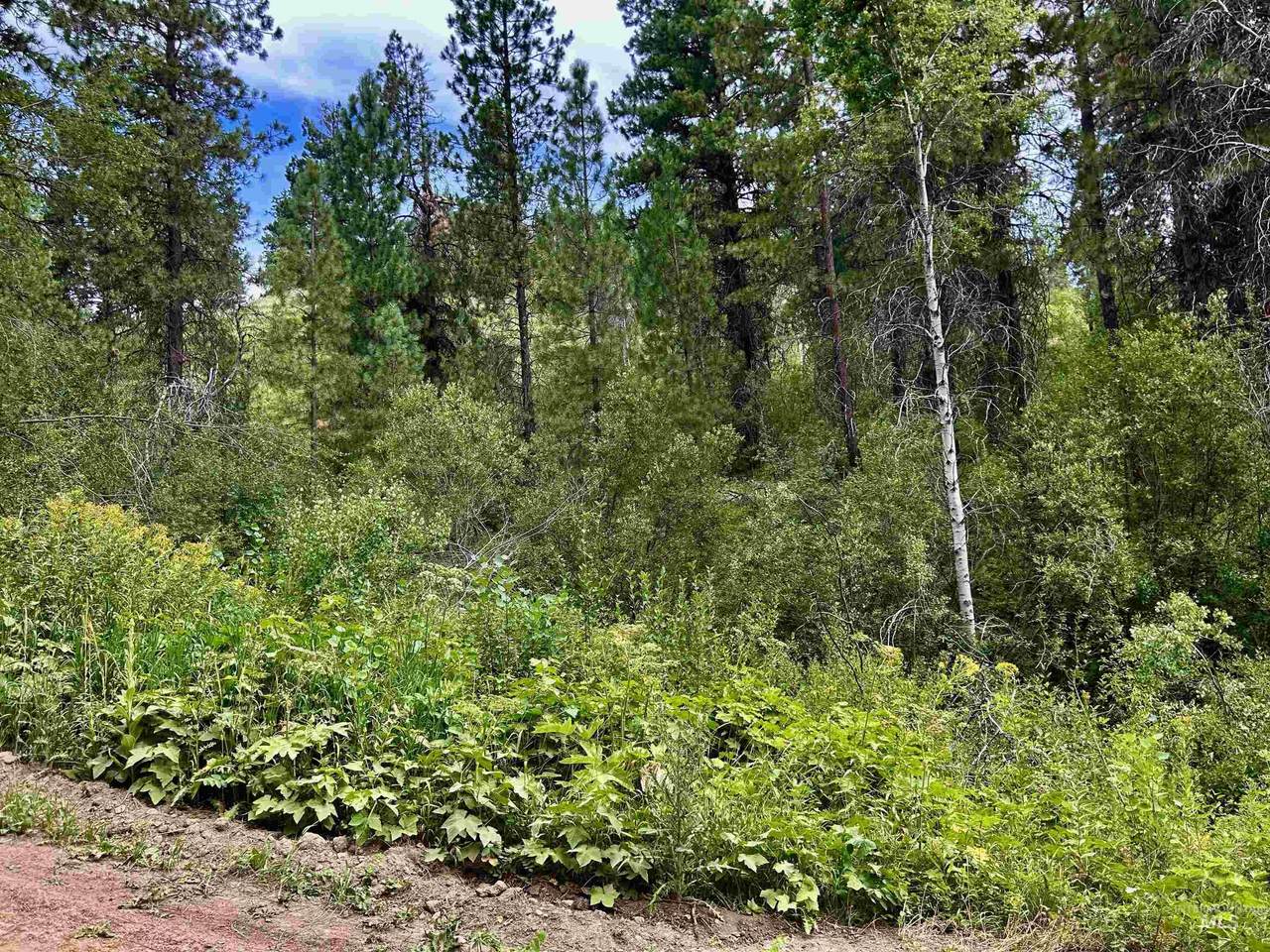 Lot 165 Johnson Creek - Photo 1