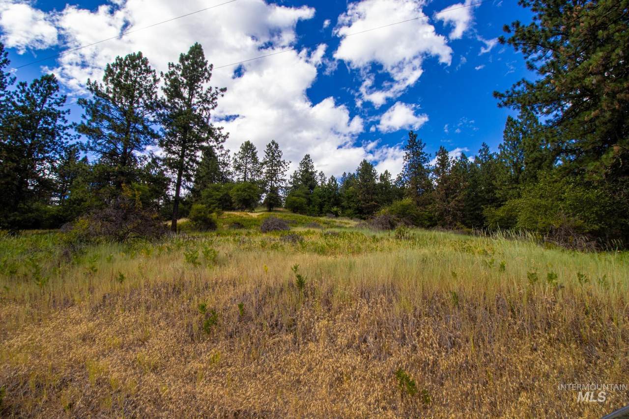 0 Whitetail Drive - Photo 1