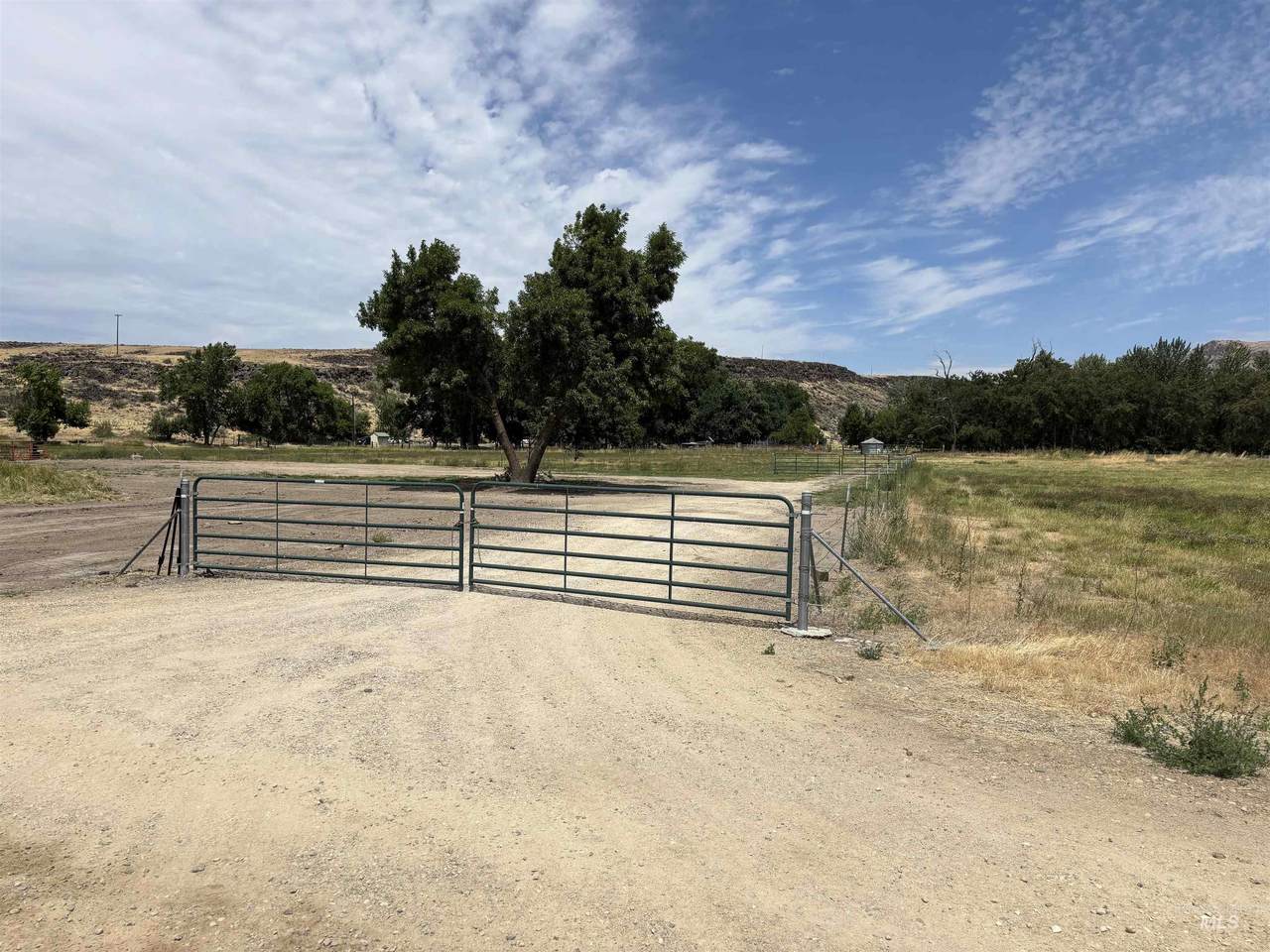 6870 Mayfield Rd - Photo 1