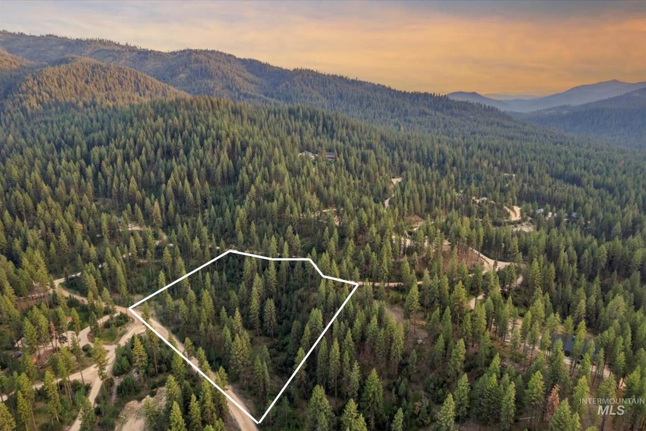 Lot 12 Shaw Gulch Road - Photo 1