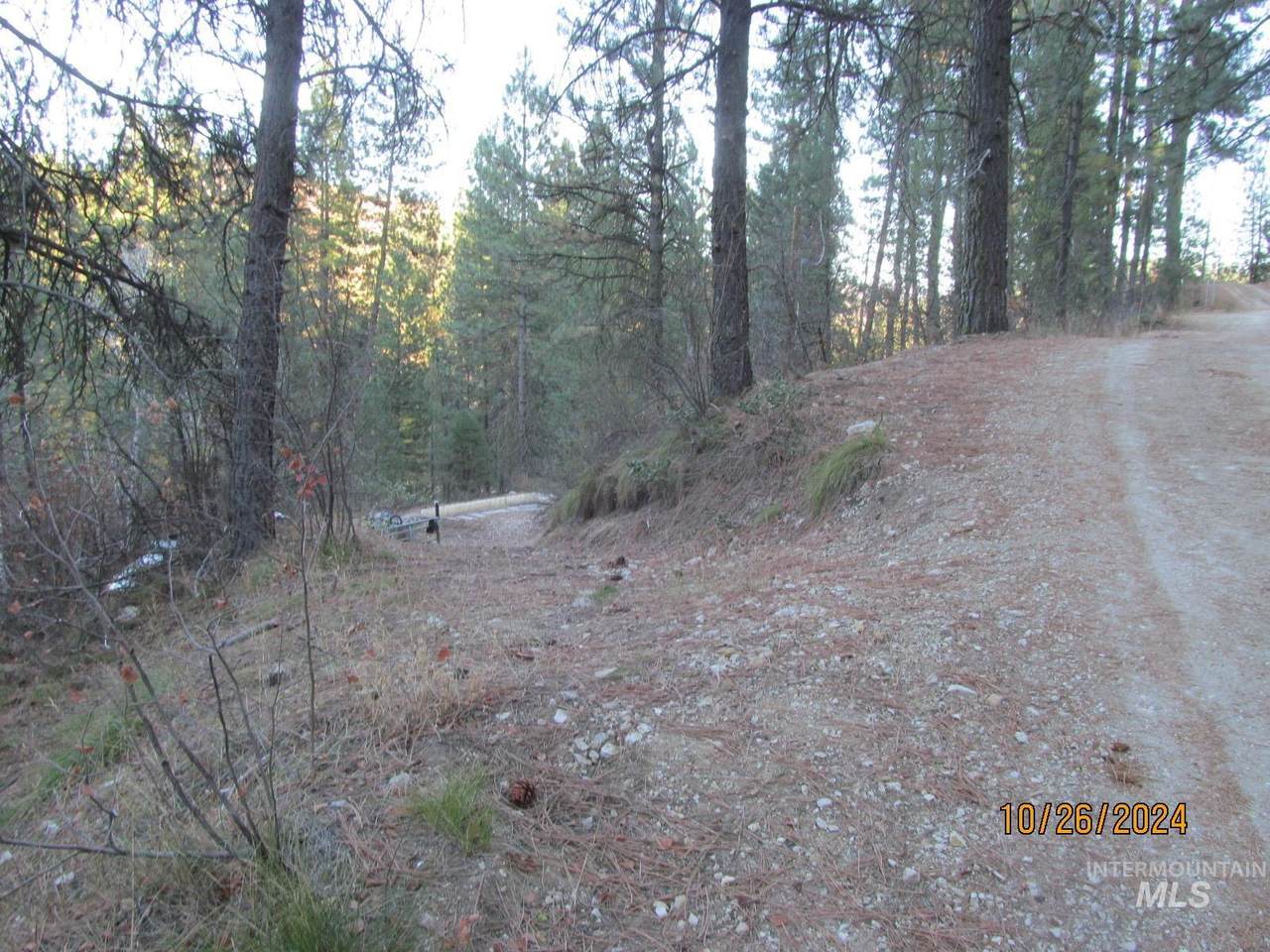 TBD Lots 4 & 5 Johnson Creek Road - Photo 1