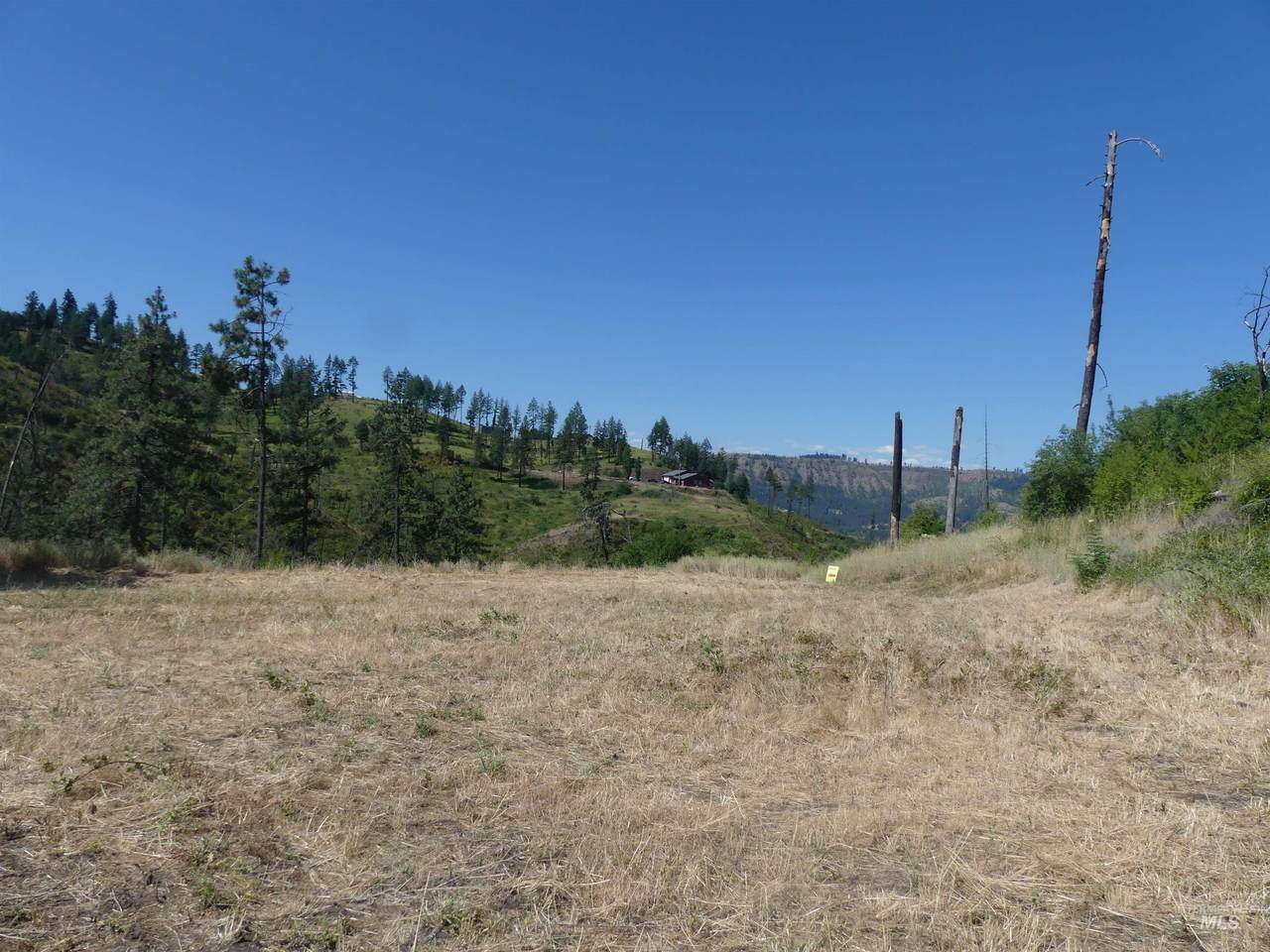 379 Glenwood Road - Photo 1