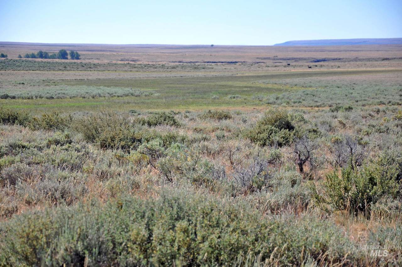 TBD Mud Flat Road - Photo 1