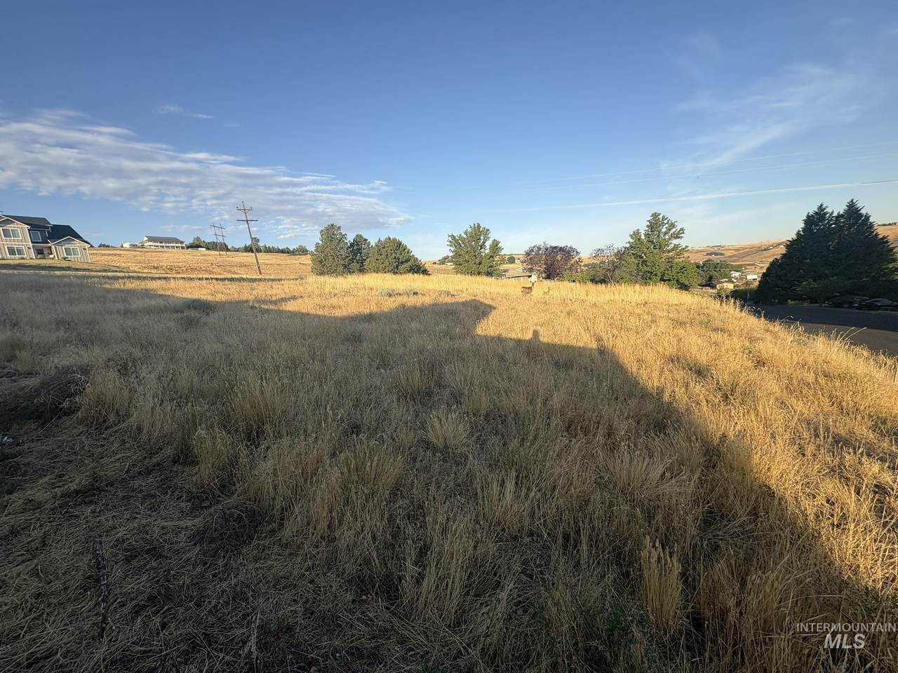 2912 27th St (Lot 43 Dove Drive) - Photo 1