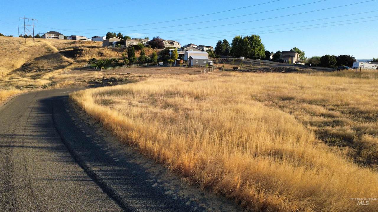 2600 Dove Road (Lot 29 Dove Replat) - Photo 1