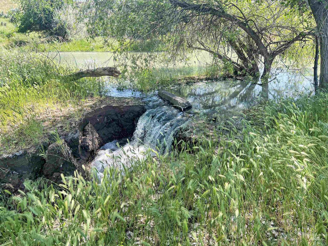 830 Snively Gulch Rd - Photo 1