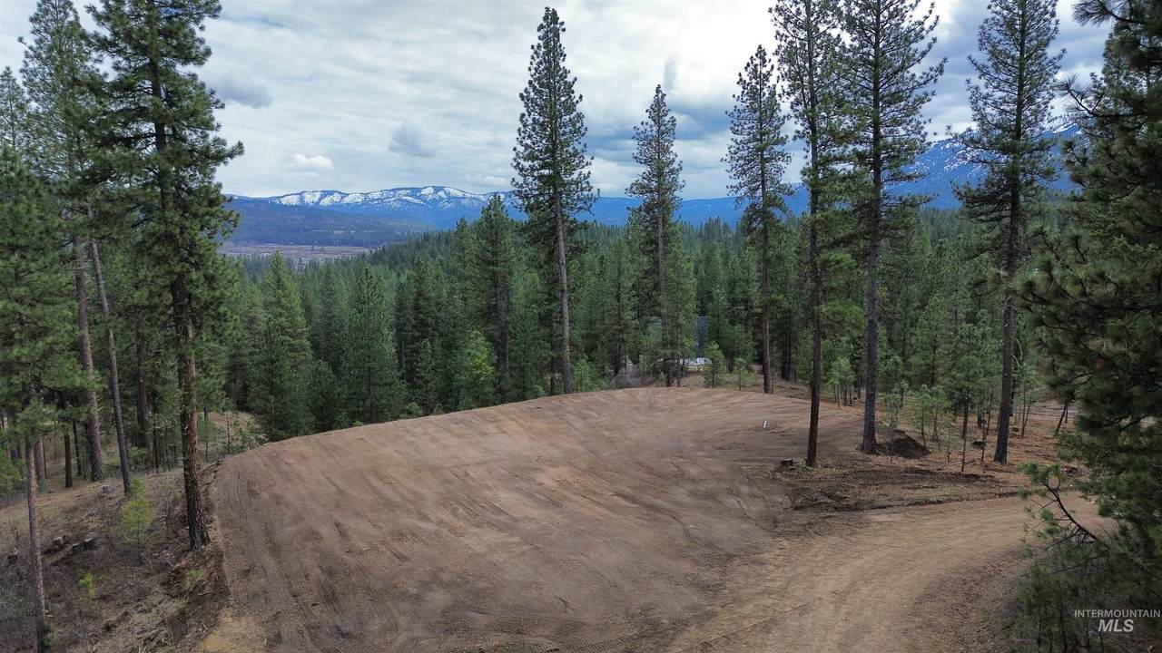  Talon Road - Photo 1