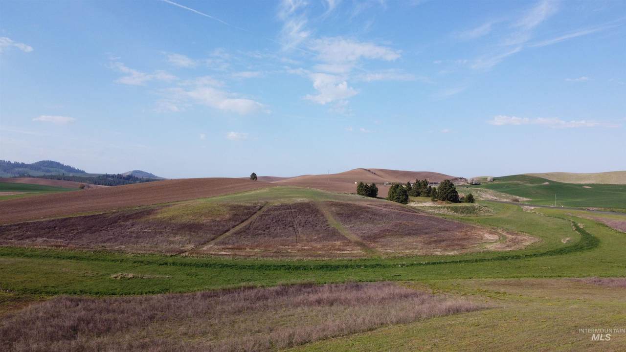 NKA Duffield Flat Road - Photo 1
