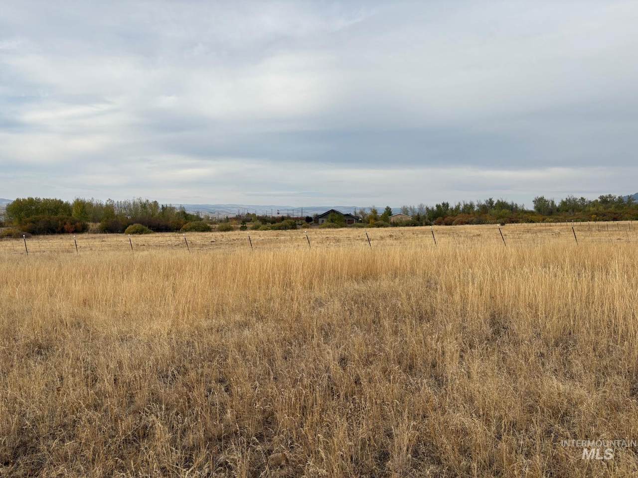 https://bt-photos.global.ssl.fastly.net/imls/1280_boomver_1_98959254-2.jpg