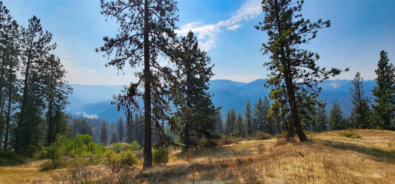 tbd Suttler Creek Rd - Photo 1
