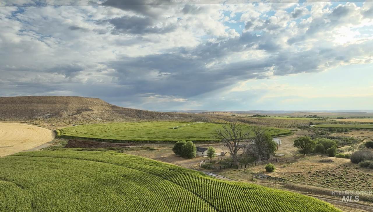 23425 Bachman Grade Rd - Photo 1