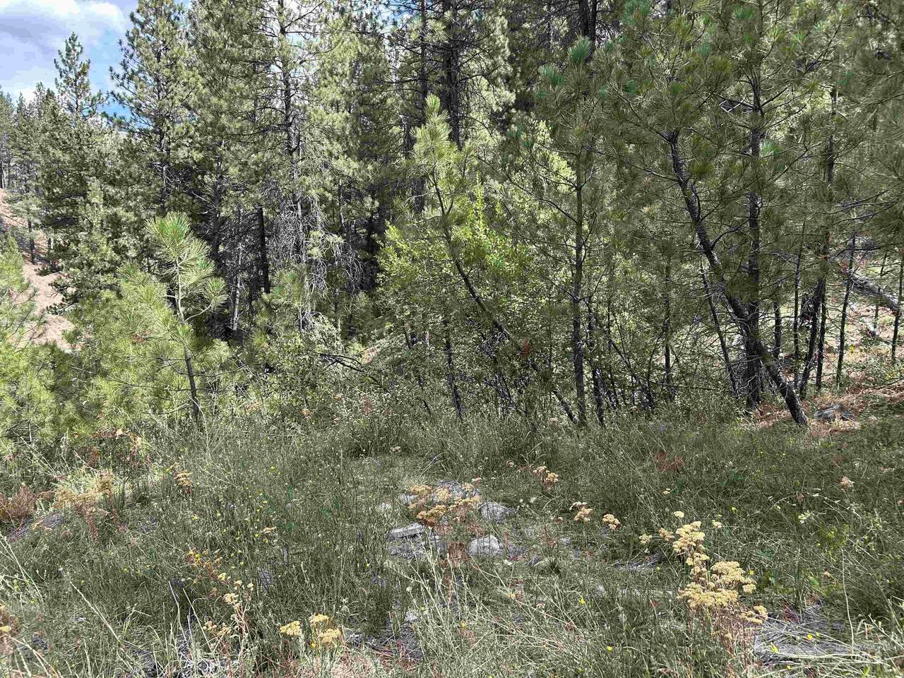 8 Klondike Road - Photo 1