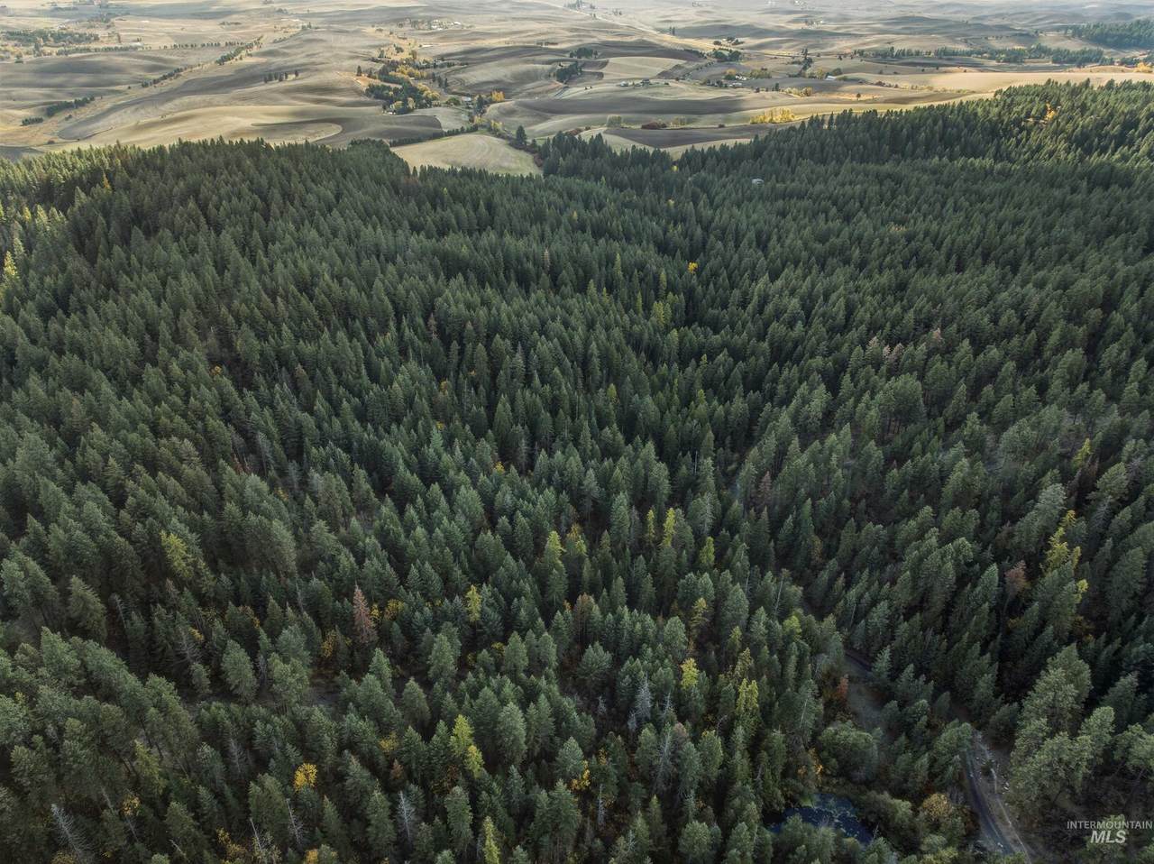 TBD Foothill Rd - Photo 1