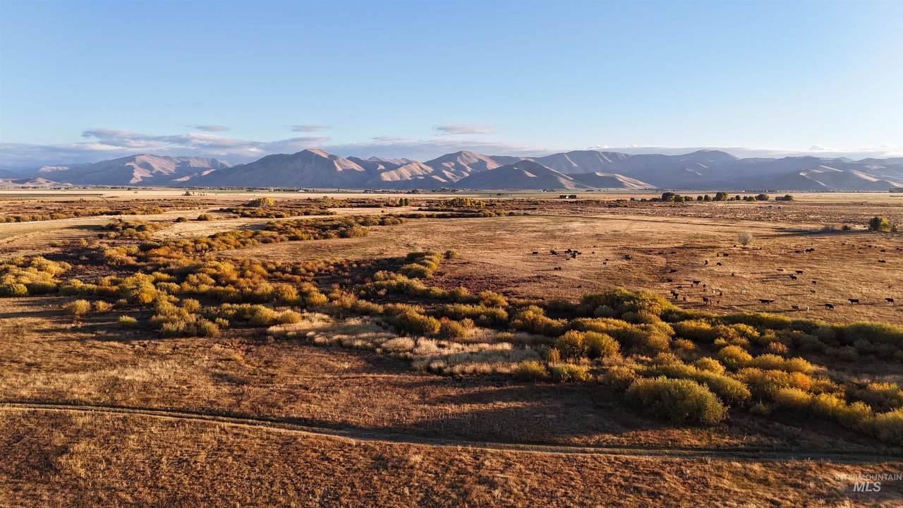 TBD Highway 20 - Photo 1