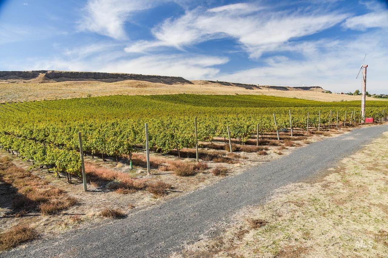 73809 Rattlesnake Road - Photo 1